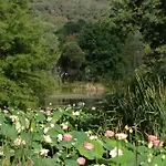 Les Restanques, Bastides 3105, Vue Golfe Saint Tropez *