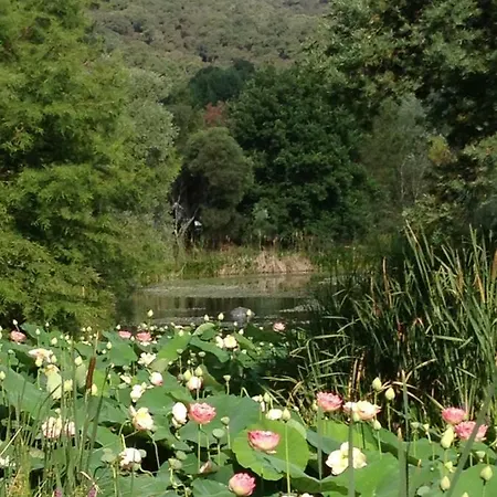 Les Restanques, Bastides 3105, Vue Golfe Saint Tropez *